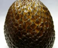 Salacca zalacca