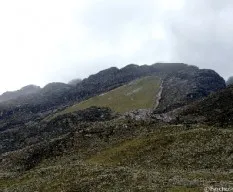 Páramo de los conejos