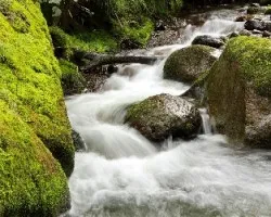 Río