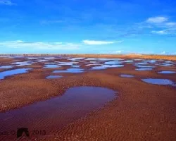 Paisajes en la cola 