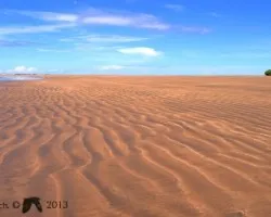 Paisajes en la cola 