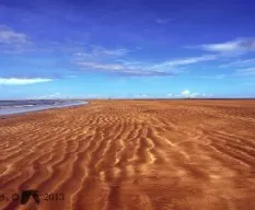 Paisajes en la cola 