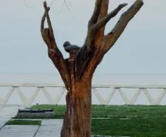 Fué un árbol
