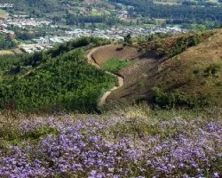 Montes de tobosí