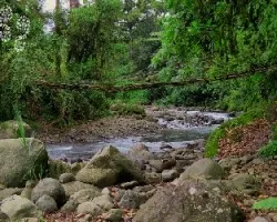 Paso frágil