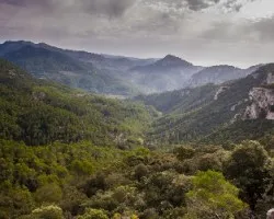 Paisajes