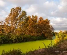 Colores del otoño