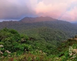Desde cerro amigos