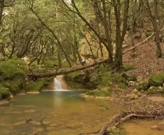 Otoño