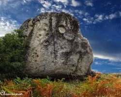 Rocas