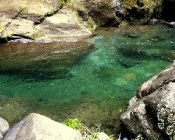 Las aguas del guayabo
