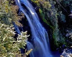 El salto