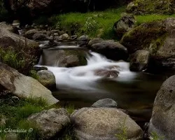 Rio Savegre