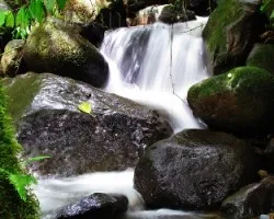 Quebrada cangreja