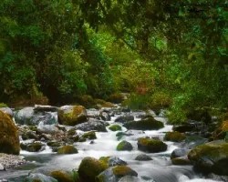 Rio savegre