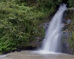 Catarata
