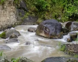 Río