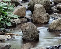 Riachuelo