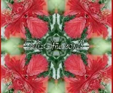 Feliz año 2014