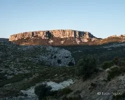 La mola grande