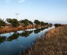 Reflejos