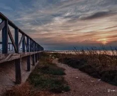 Cae la tarde
