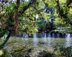 Río y selva