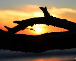 Ojo al atardecer