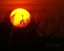 Atarde