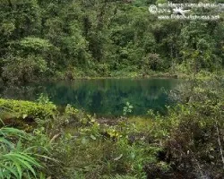 Pozo verde