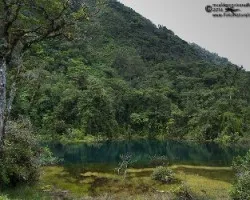 Pozo verde