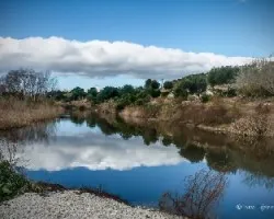 Reflejos 
