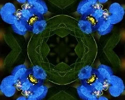 Azules!!