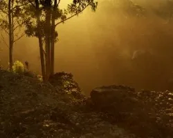 La luz
