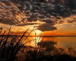 Atardecer en iberá
