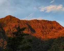 Coloso sonrojado