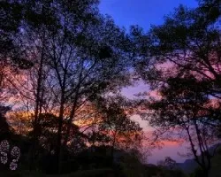 Ocaso entre bosques