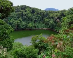 Barva verde