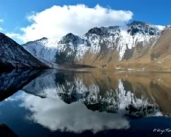 Reflejo