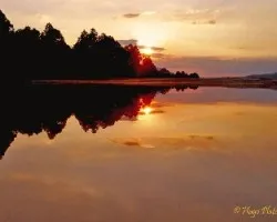 Reflejo