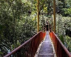 Puente colgante