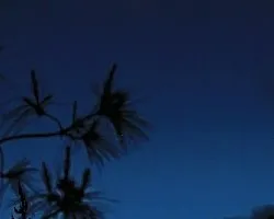 Cachito de luna