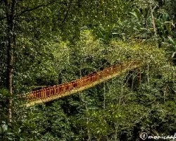 Puente colgante