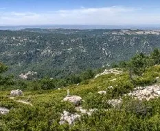 Parque natural 