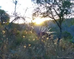 Atardecer de otoño