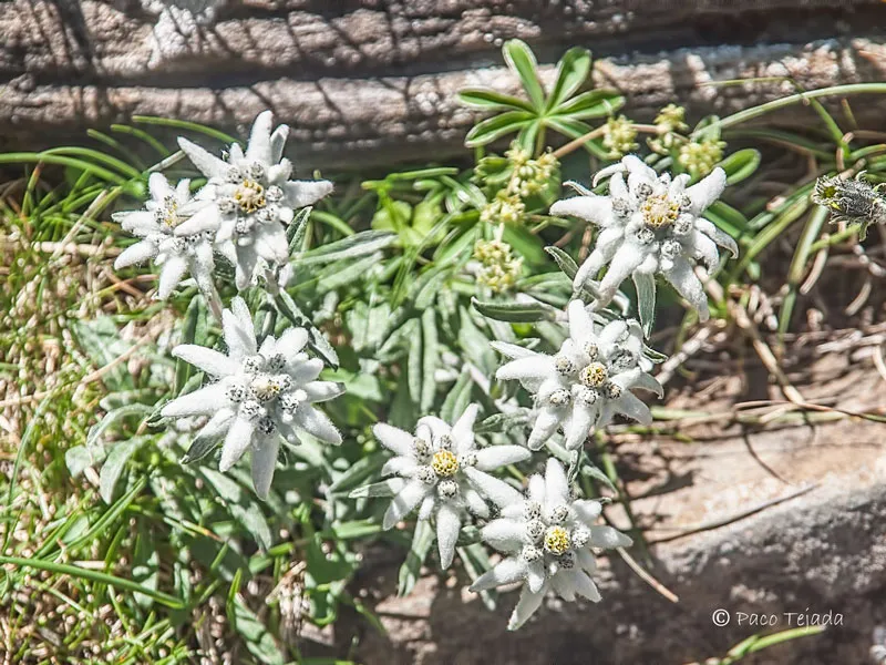 Parque Nacional De Ordesa