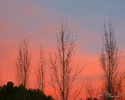 Atardecer