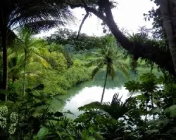 Rincón verde