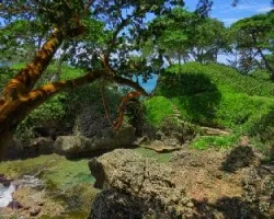 Oasis caribeño