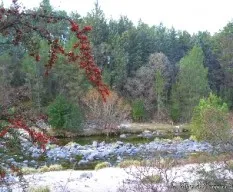 Río los reartes ii